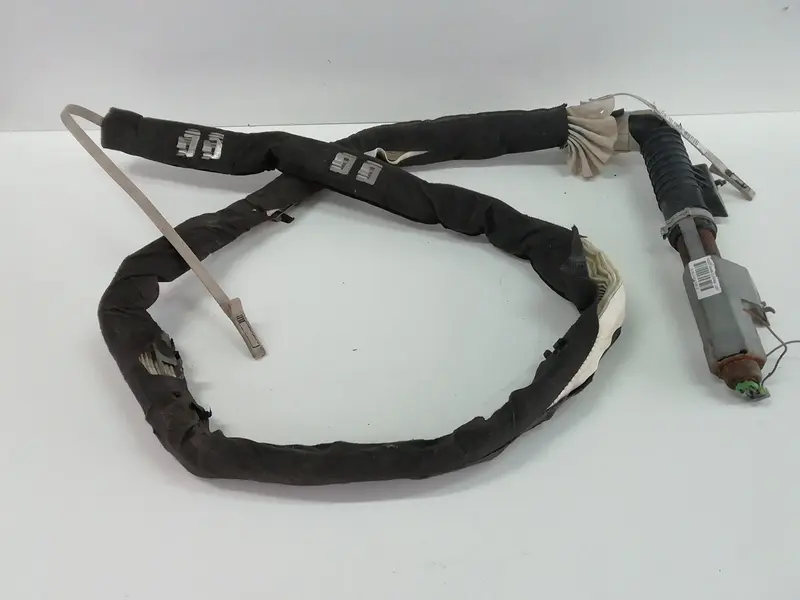 Airbag a tendina laterale passeggero RENAULT Scenic Serie (03>09) 8200130499 Diesel (03>09)