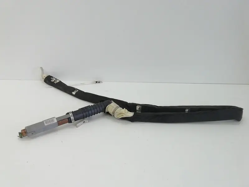 Airbag a tendina laterale Sinistro Guida RENAULT Megane ll Serie (02>06) 8200105859F Diesel 1500 (02>06)