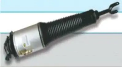 Ammortizzatore ad aria anteriore Audi A8 D3 4E