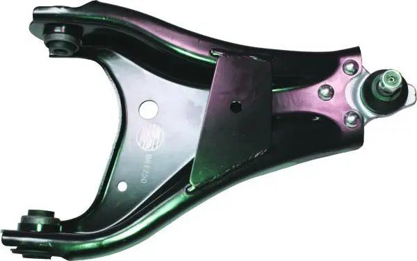 Braccio sospensione Dacia Duster anteriore dx/BIRTH br1250