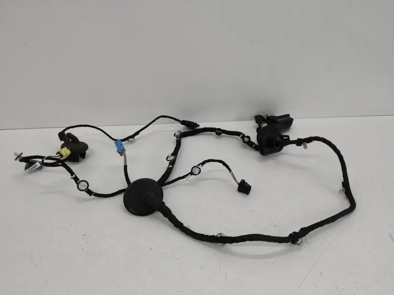 Cablaggio porta anteriore destra AUDI Q2 Serie (GAB) (16>) 81A971030R Diesel 1600