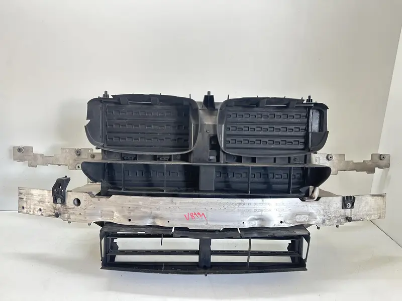 Calandra BMW X5 (F15) (13>18) 16808310,730804517,16808310 Benzina (13>18)