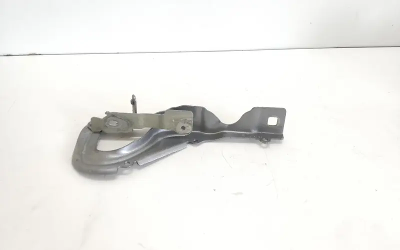 Cerniera cofano anteriore SX CITROEN C3 Serie (16>) 9812778580A Benzina