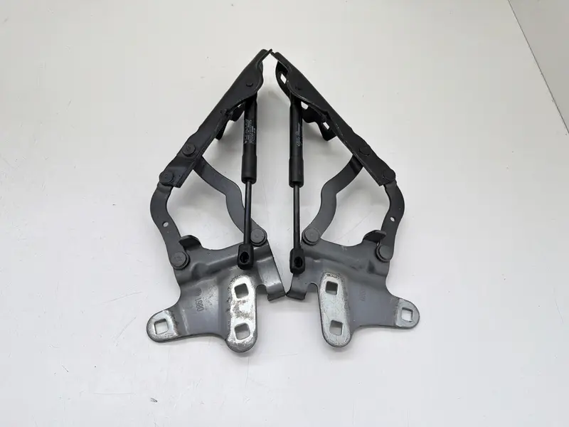 Cerniere cofano anteriore dx e sx ALFA ROMEO Stelvio Serie (949_) (16>) 00505354500 Benzina