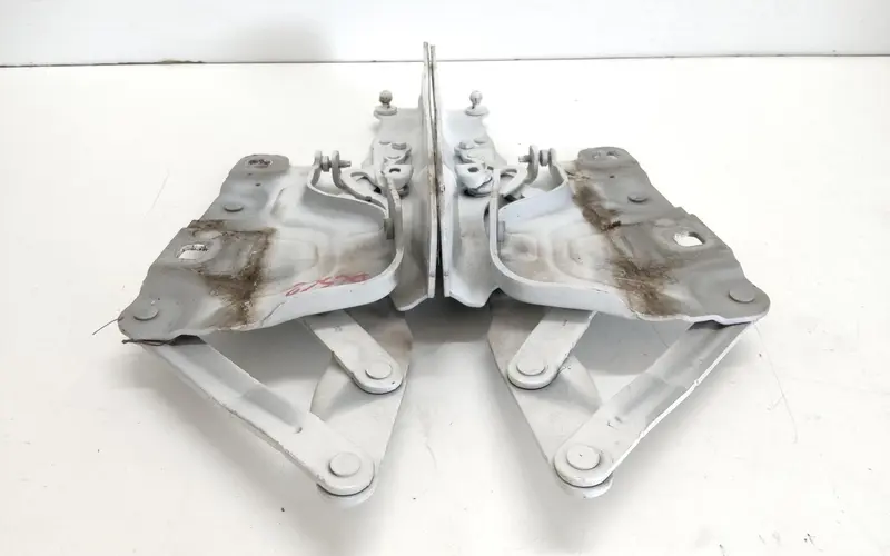 Cerniere cofano anteriore dx e sx JAGUAR XE Serie (X760) (15>) T2H12981 GX7316801AE Diesel 2.0