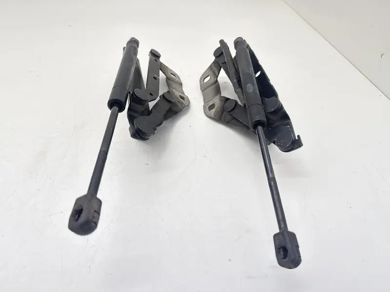 Cerniere cofano anteriore dx e sx LAND ROVER Range Rover Evoque 1° Serie LR001565 BJ3216C826AA Diesel 2.2
