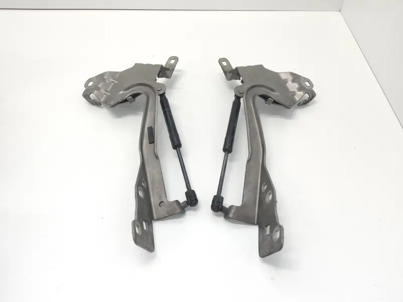Cerniere cofano anteriore dx e sx RENAULT Grand Scenic Serie (11>) 654000004R Diesel 1.6 (09>16)