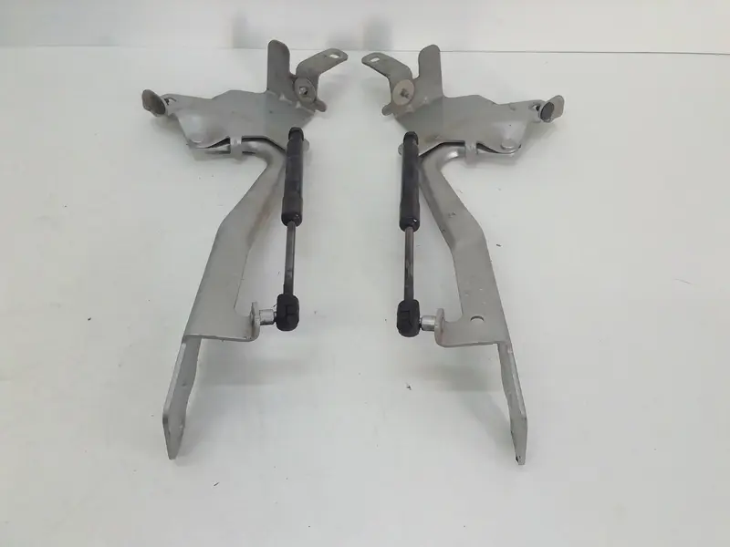 Cerniere cofano anteriore dx e sx RENAULT Grand Scenic Serie (11>) 654000004R Diesel 1500 (09>16)
