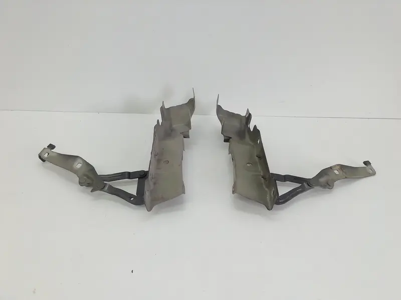 Cerniere cofano anteriore dx e sx RENAULT Scenic Serie (03>09) Diesel 1500 (03>09)