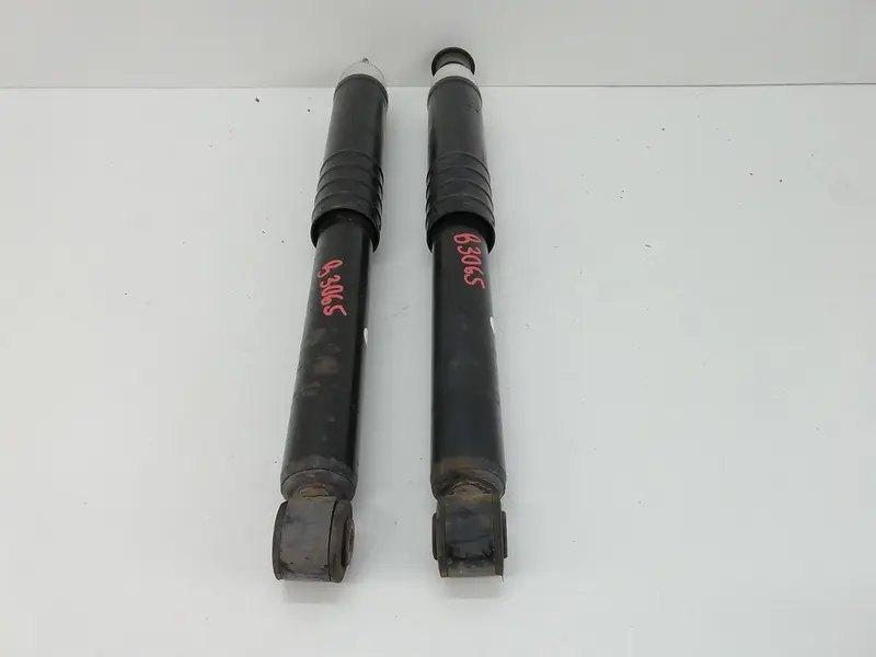 Coppia Ammortizzatori RENAULT Clio Serie IV (12>19) 562109815R Benzina 1200 (12>19)