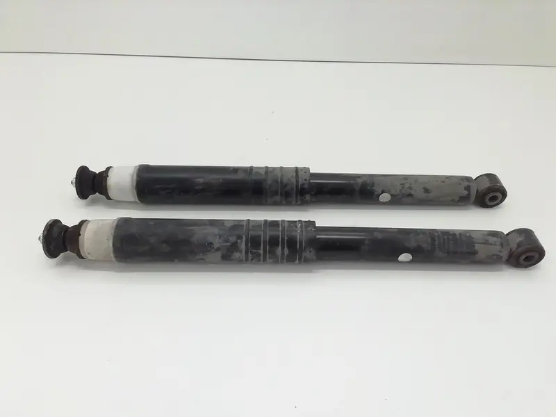 Coppia Ammortizzatori RENAULT Clio Serie IV (12>19) 562109815R Diesel 1200 (12>19)