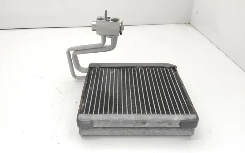 Evaporatore AC LAND ROVER Range Rover Evoque 1° Serie L5174008 Benzina