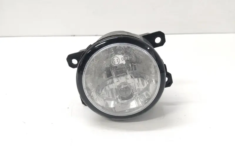 Fendinebbia anteriore DX FORD EcoSport Serie (12>) 89500181 89500181 Benzina