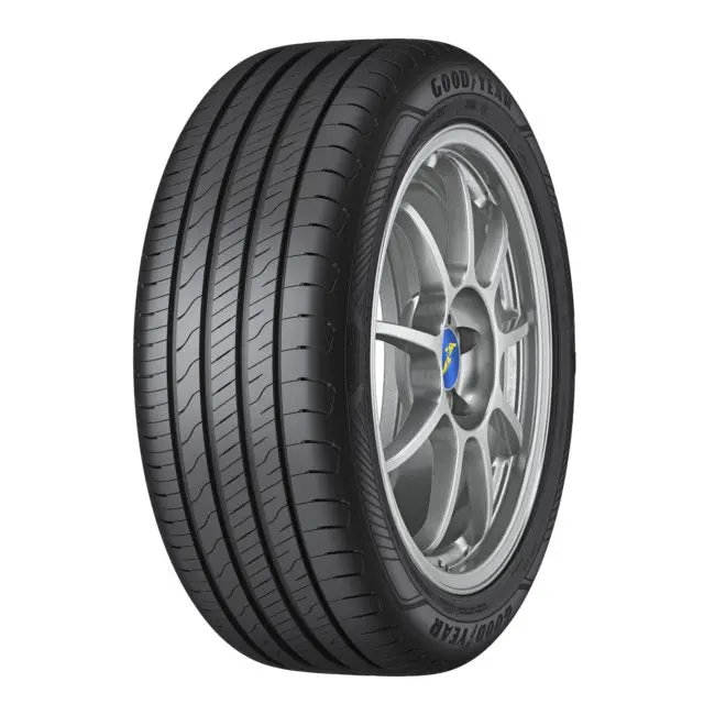Goodyear EFFICIENTGRIP PERFORMANCE 2 205/55R19 97V Pneumatico Estiva