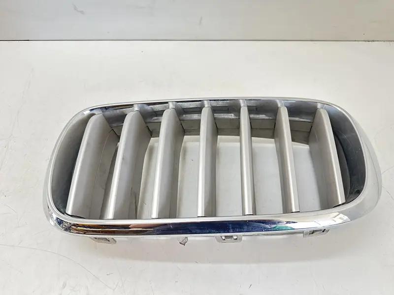 Griglia Anteriore BMW X5 (F15) (13>18) 7316075 Benzina (13>18)