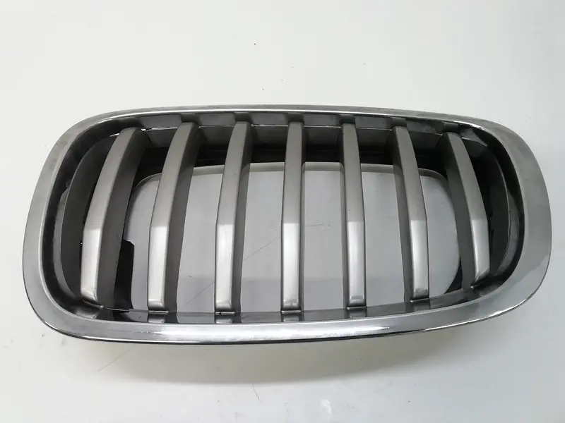 Griglia Paraurti BMW Serie 1 Serie (E87) (07>) 7171395 Diesel 2000