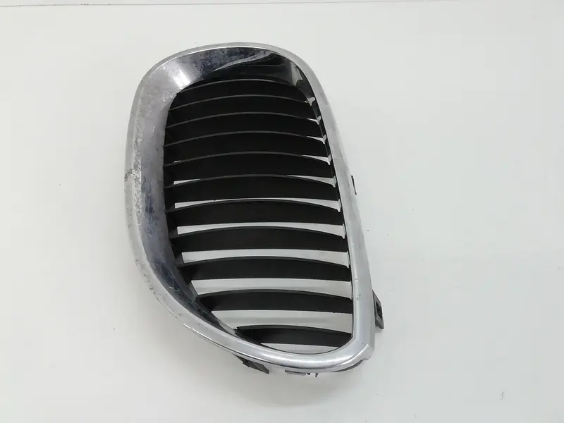 Griglia Paraurti BMW Serie 5 E60 7065701 Benzina (03>10)