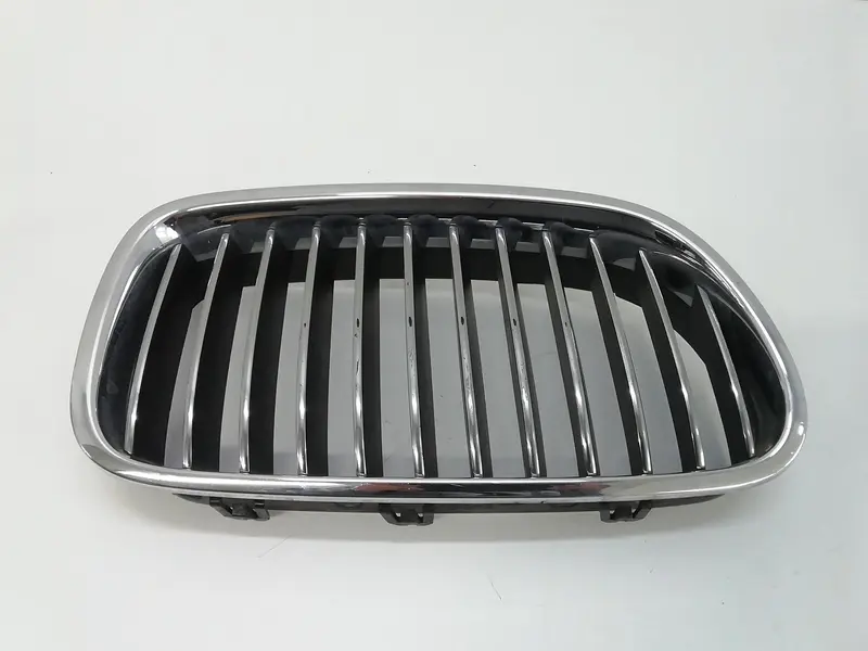 Griglia Paraurti BMW Serie 5 F10 7200728 Benzina