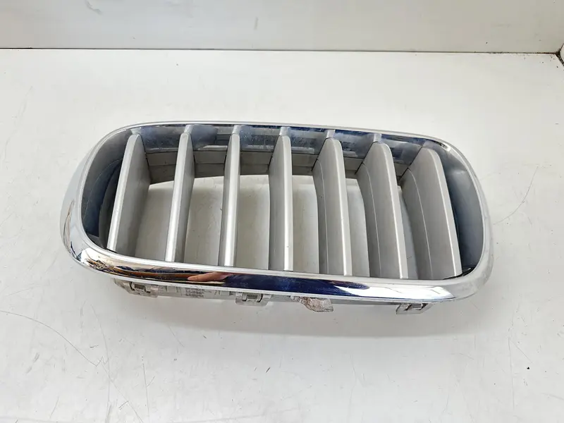 Griglia Paraurti BMW X5 (F15) (13>18) 7316076 Benzina (13>18)