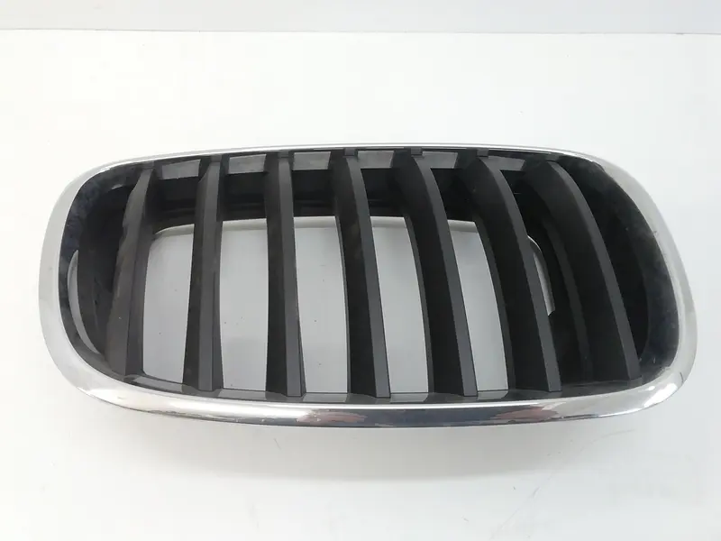 Griglia Paraurti BMW X5 Serie (E70) (06>13) 7171396 Benzina (06>13)