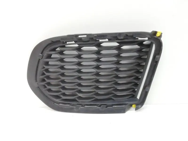 Griglia Paraurti JAGUAR E-Pace Serie  (17>) J9C3 15A299 A Diesel 2000
