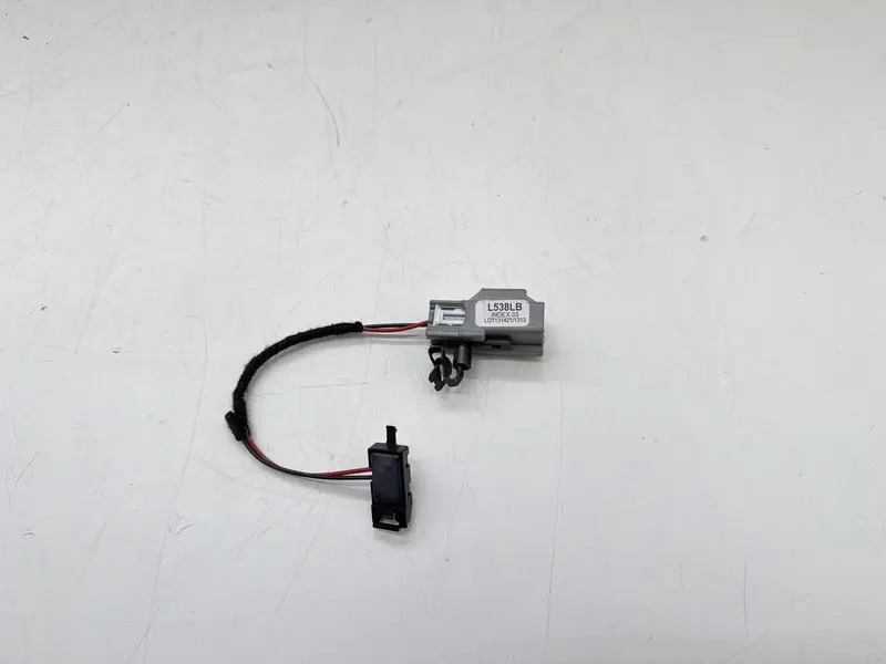 Luce di Cortesia Maniglia Interna LAND ROVER Discovery Sport (L550) (14>18) L538LB Benzina (14>18)