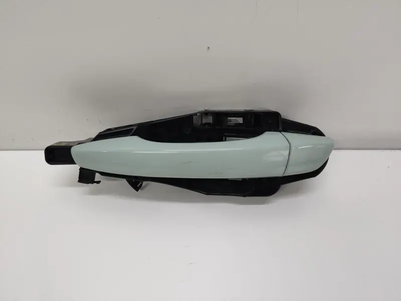 Maniglia esterna Posteriore Sinistra CITROEN C3 Serie (16>) 98029782XT 9802977380 Benzina