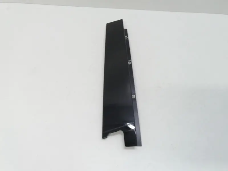 Modanatura porta posteriore SX FIAT 500 L Serie (351_352) (12>) 735522838 Diesel 1300