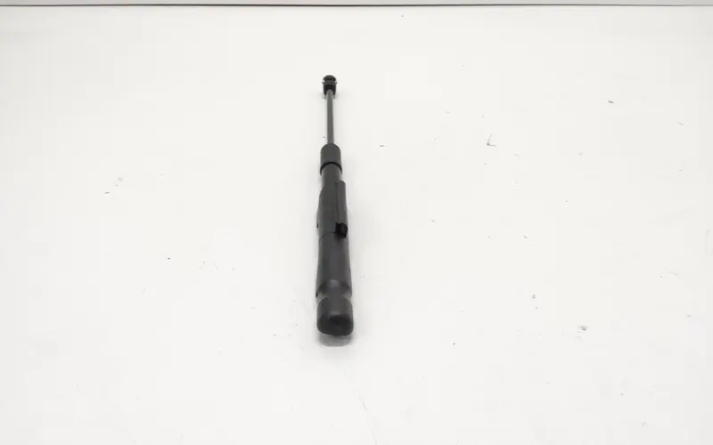 Pistoncini cofano ant MINI Countryman Serie (F60) (16>) 51237388105 Benzina
