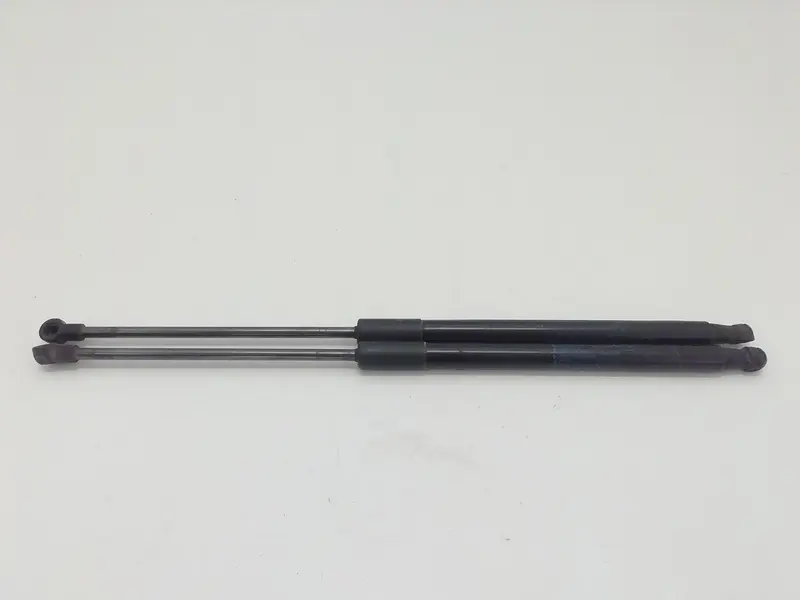 Pistoncini cofano Post. BMW Serie 1 F20 (11>19) 7239871 Benzina (11>19)