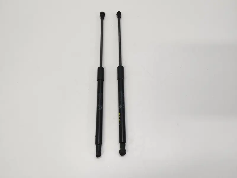 Pistoncini cofano Post. CITROEN C3 Serie (16>) 9813177780 9813177780 Benzina