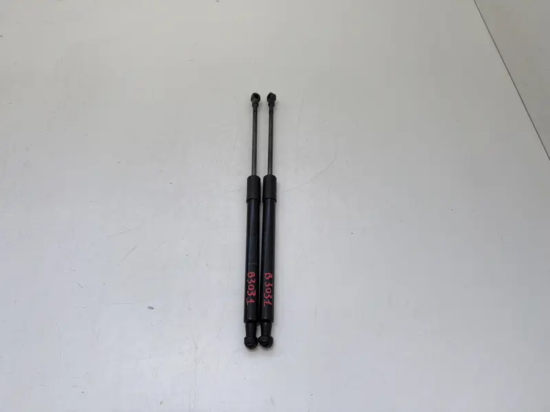 Pistoncini cofano Post. DACIA Duster Serie 904522228R Bifuel/Gas 1.6 (17>24)