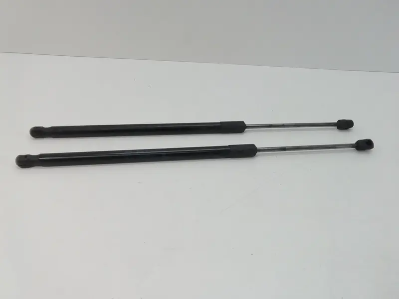 Pistoncini cofano Post. FIAT 500 L Serie (351_352) (12>) 00519537570 Diesel 1300