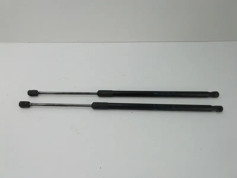 Pistoncini cofano Post. FIAT 500 L Serie (351_352) (12>) 00519537570 Diesel 1600
