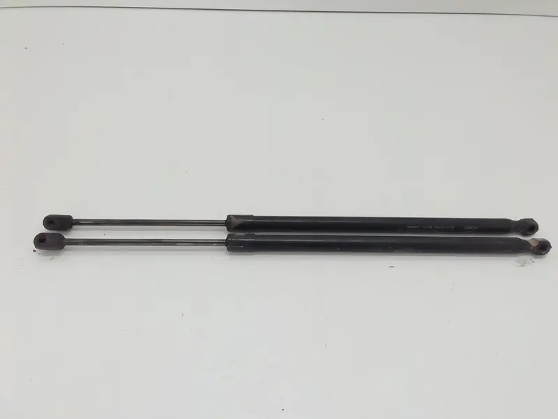 Pistoncini cofano Post. FIAT 500 L Serie (351_352) (12>) 51883050 Diesel 1300