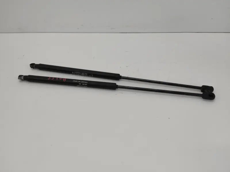 Pistoncini cofano Post. FIAT Bravo 2° Serie 51812267 Diesel 1900 (07>10)