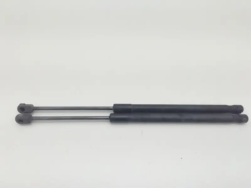 Pistoncini cofano Post. FIAT Sedici 1° Serie 8711TQ 0410N Diesel 1900 (06>09)