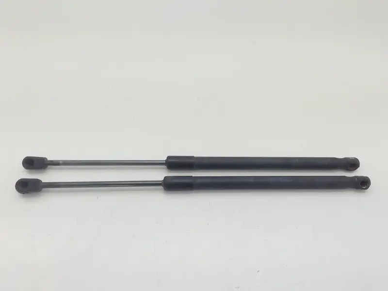 Pistoncini cofano Post. FIAT Sedici 1° Serie Diesel 1900 (06>09)