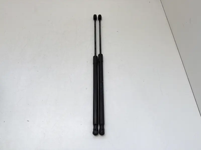 Pistoncini cofano Post. FORD Fiesta 6° Serie 8A61A406A10AC Bifuel/Gas 1.4 (08>17)