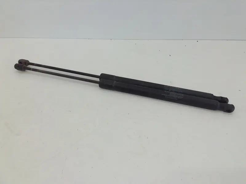 Pistoncini cofano Post. MERCEDES Classe B W245 1° Serie A1699801064 Diesel 2000 (05>11)