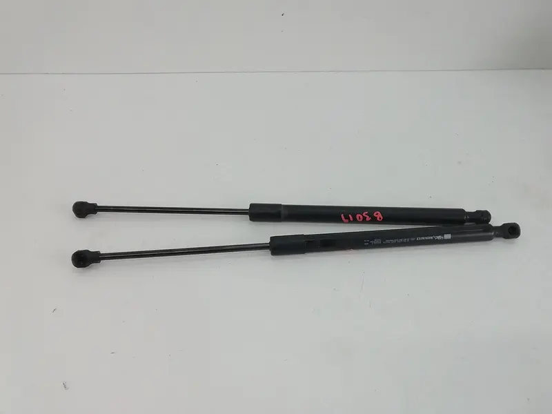 Pistoncini cofano Post. RENAULT Clio Serie IV (12>19) 844308661R Benzina 1200 (12>19)