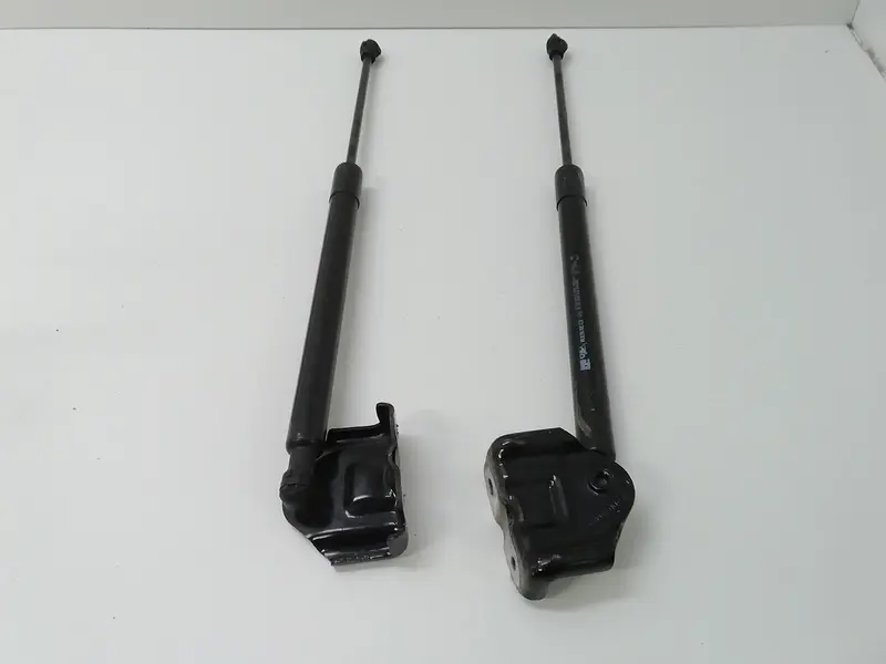 Pistoncini cofano Post. RENAULT Clio Serie IV (12>19) 844308661R Benzina 1200 (12>19)