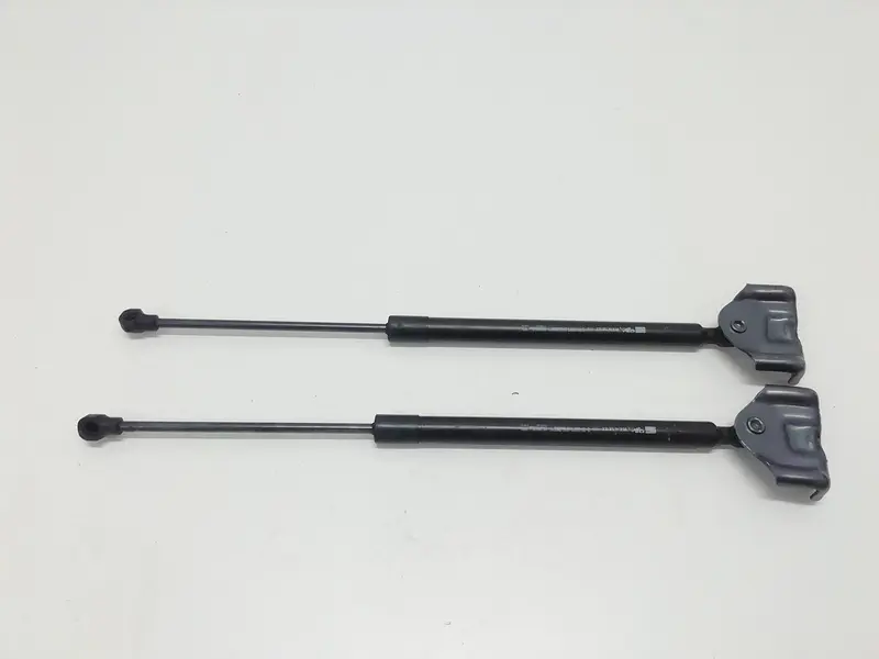 Pistoncini cofano Post. RENAULT Clio Serie IV (12>19) 844308661R Diesel 1500 (12>19)