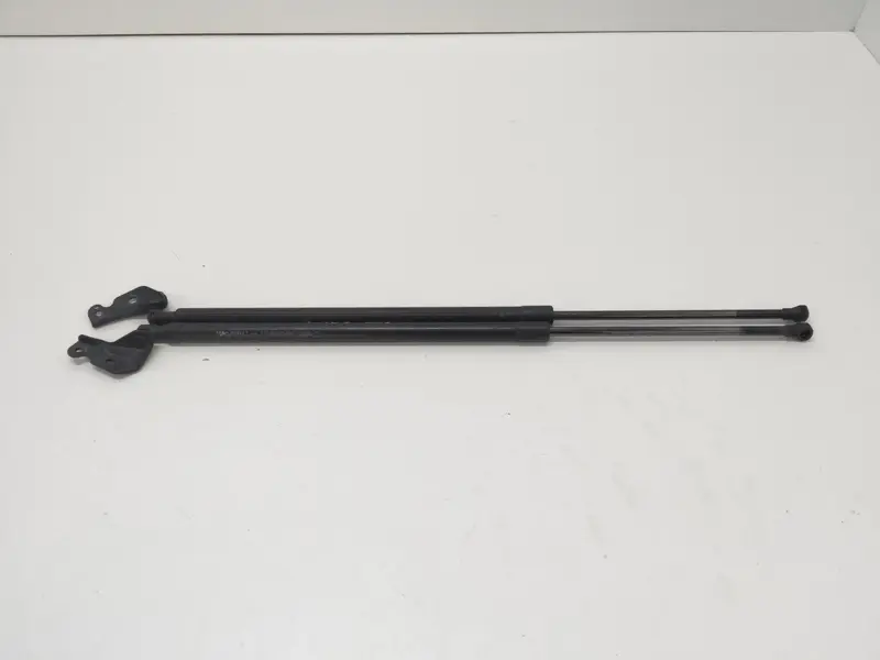 Pistoncini cofano Post. RENAULT Grand Scenic Serie (11>) 904517337R Diesel 1.6 (09>16)