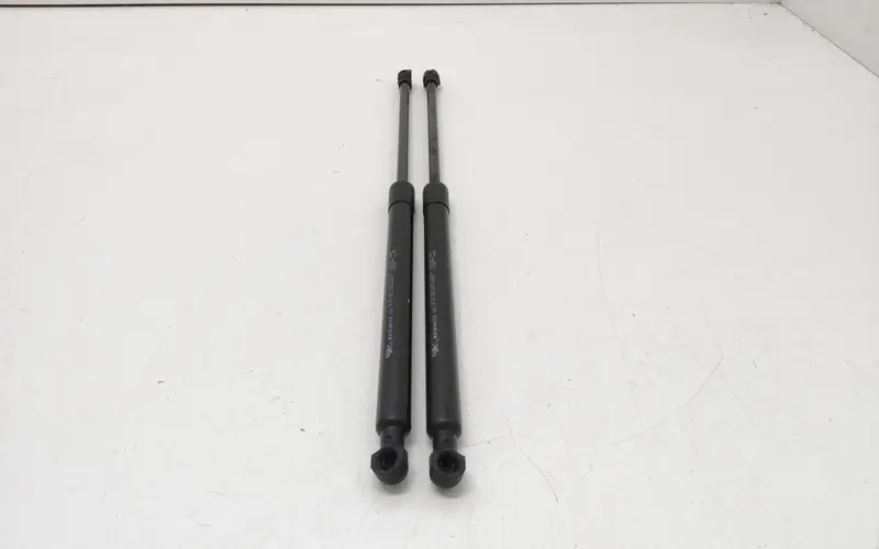 Pistoncini cofano Post. RENAULT Megane IV Grand Tour (16>) 904511213R Benzina