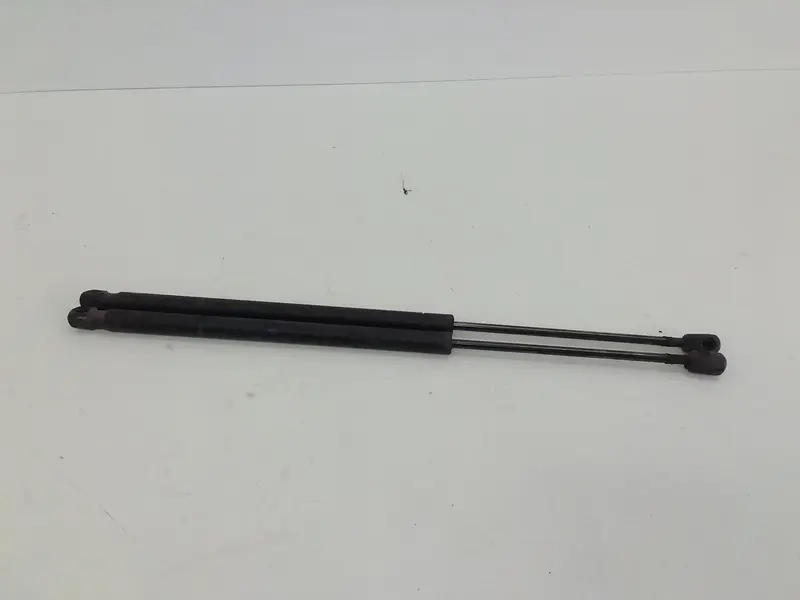 Pistoncini cofano Post. RENAULT Scenic Serie (03>09) 8200484676 Diesel 1500 (03>09)