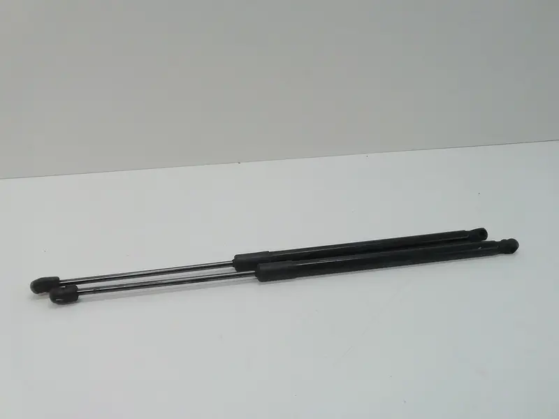 Pistoncini cofano Post. VOLKSWAGEN T-Roc Serie 2GA827550A Diesel 1600 (17>21)