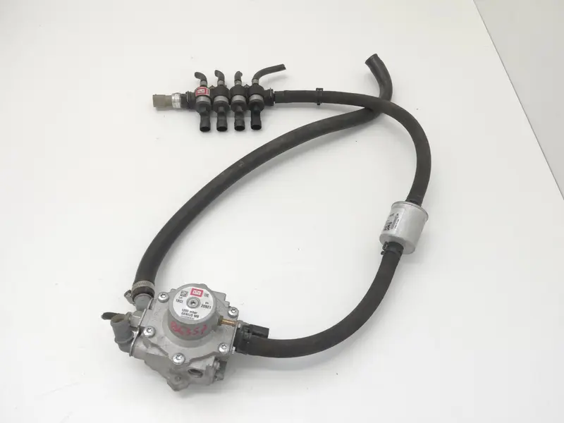 Polmone Gas Gpl CITROEN C3 Serie (09>15) BRC 09SQ990200 Bifuel/Gas 1.4 (09>15)
