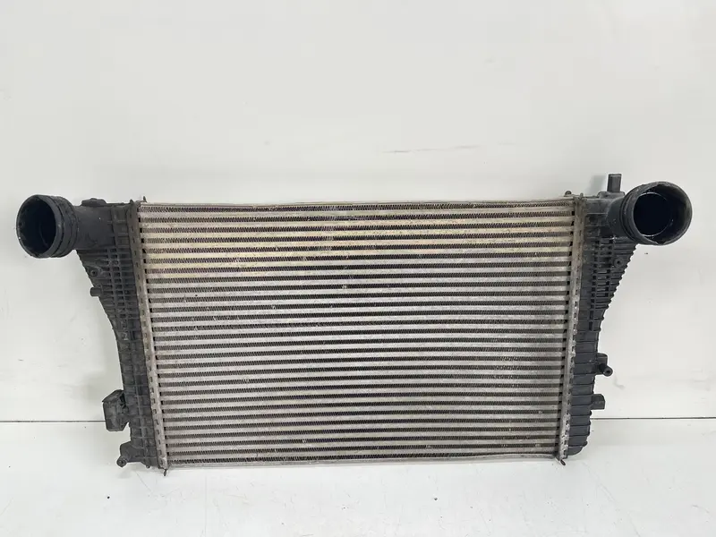 Radiatore acqua SEAT Altea Berlina 1K0121253AA 1K0121253AA Diesel 1.9