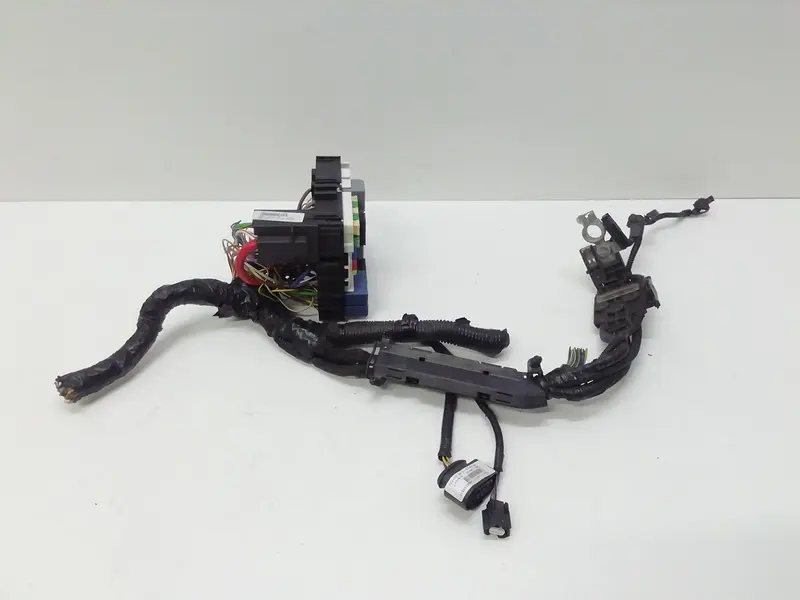 Scatola porta fusibili FORD EcoSport Serie (15>) FN1T-14K012-GADT Benzina 1000